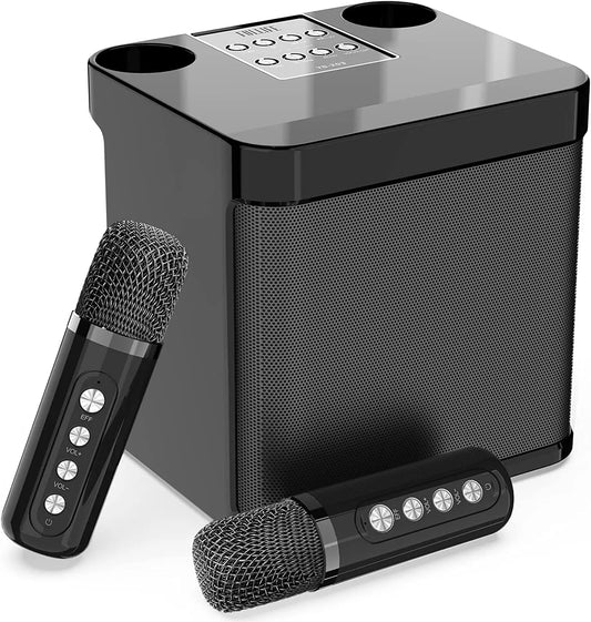 Portable Dual Karaoke Machine with Dual Microphones
