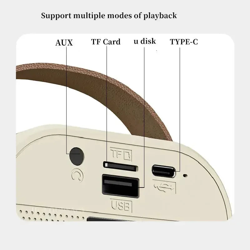 Bluetooth Karaoke Machine with Microphone